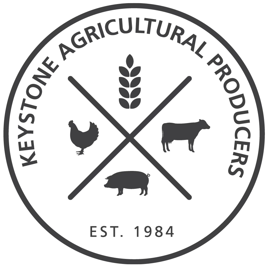 KAP Logo